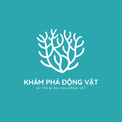 Khám Phá Động Vật