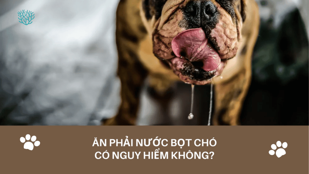 An Phai Nuoc Bot Cho