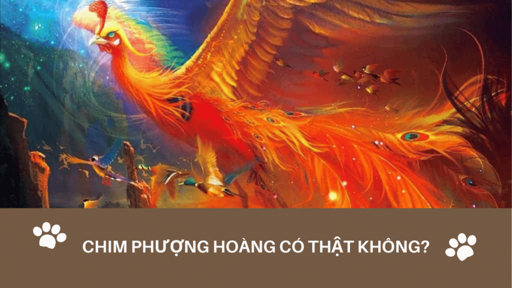 Chim Phuong Hoang Co That Khong