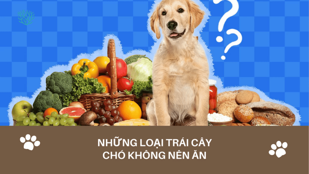 Nhung Loai Trai Cay Cho Khong Nen An